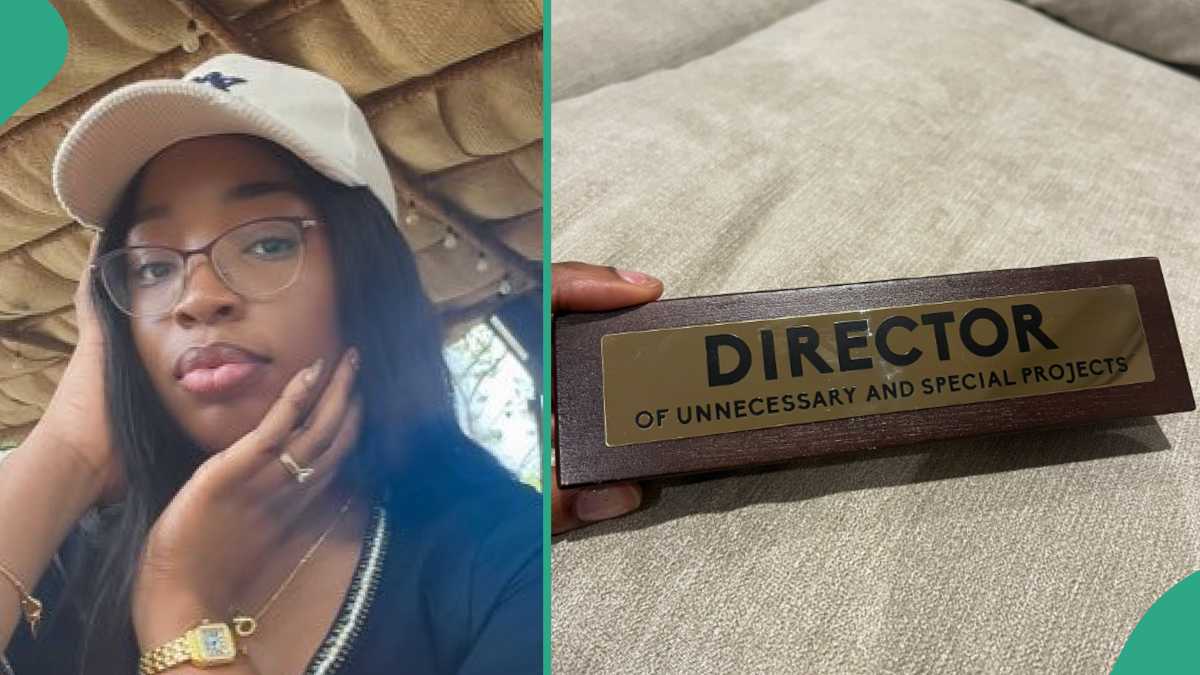 Lady Gets Interesting 'Job' Description From Her Hubby Who Made Her Director of Unnecessary Projects