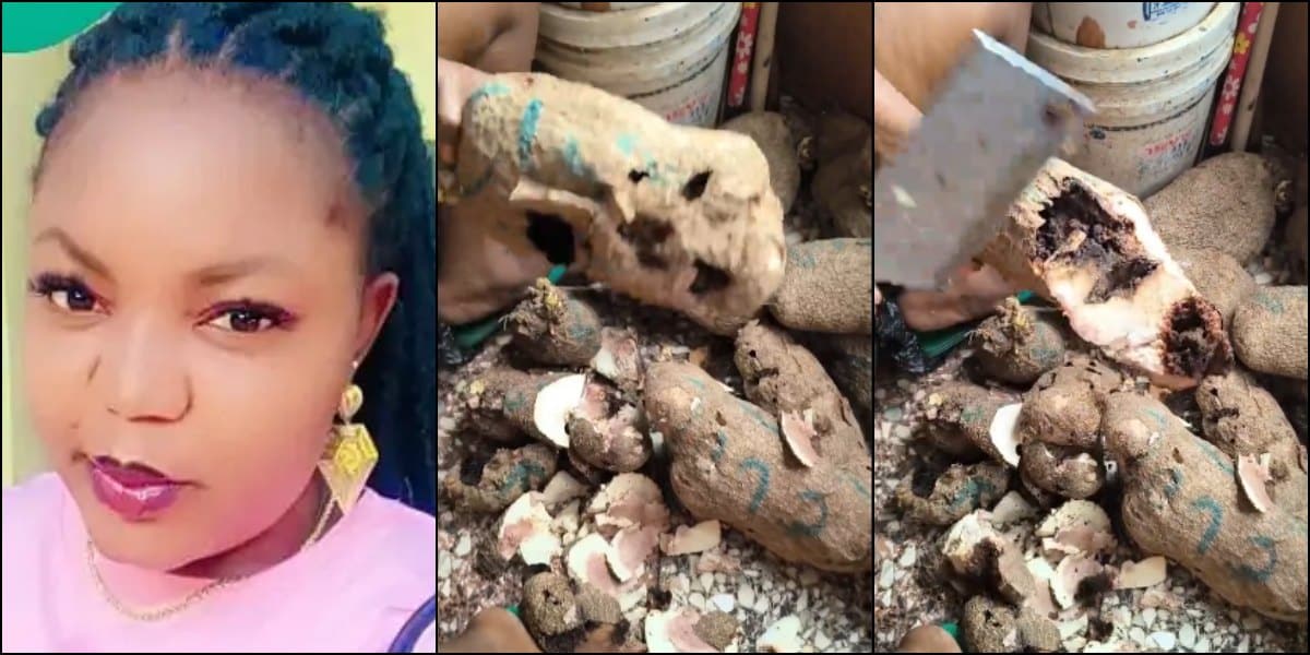 Lady cries out as she discovers that all yam she bought are rotten inside