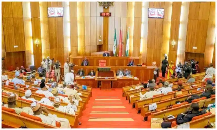 'There Was Another Budget That Was Done Underground' - Northern Senators To Meet Tinubu Over Alleged N3 Trillion 'Padding' In 2024 Budget