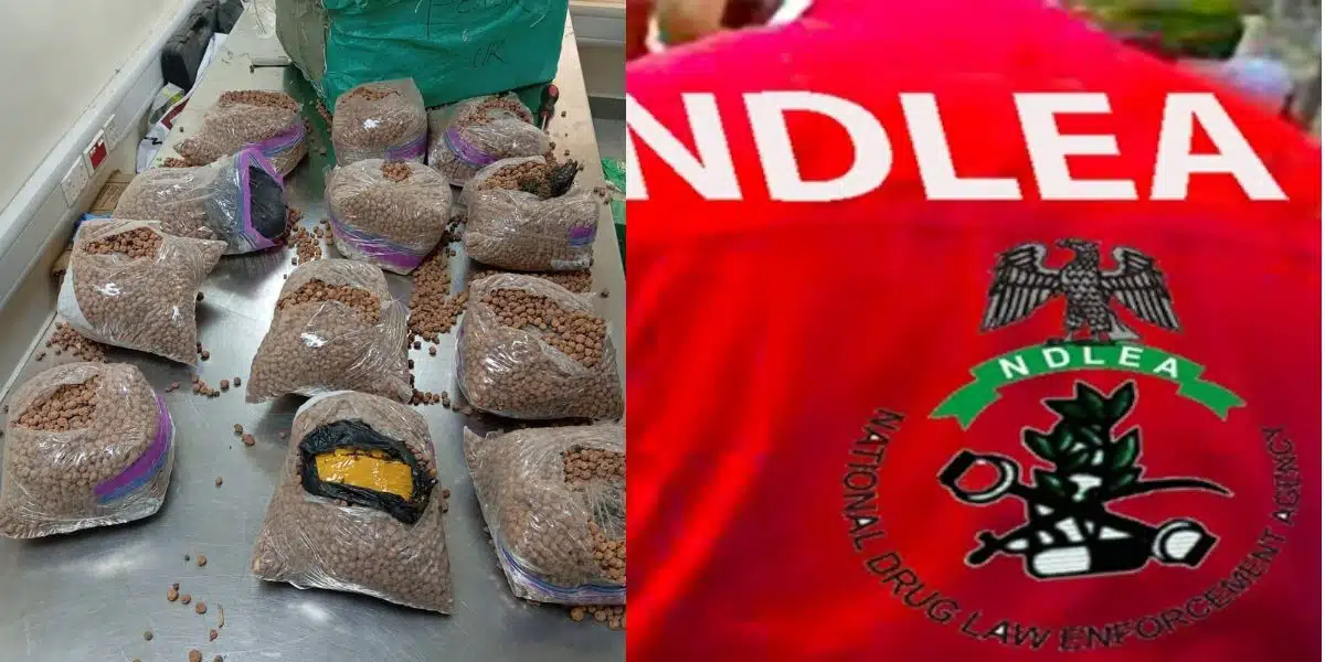 NDLEA uncovers UK-bound drugs hidden in tiger nuts, groundnut parcels