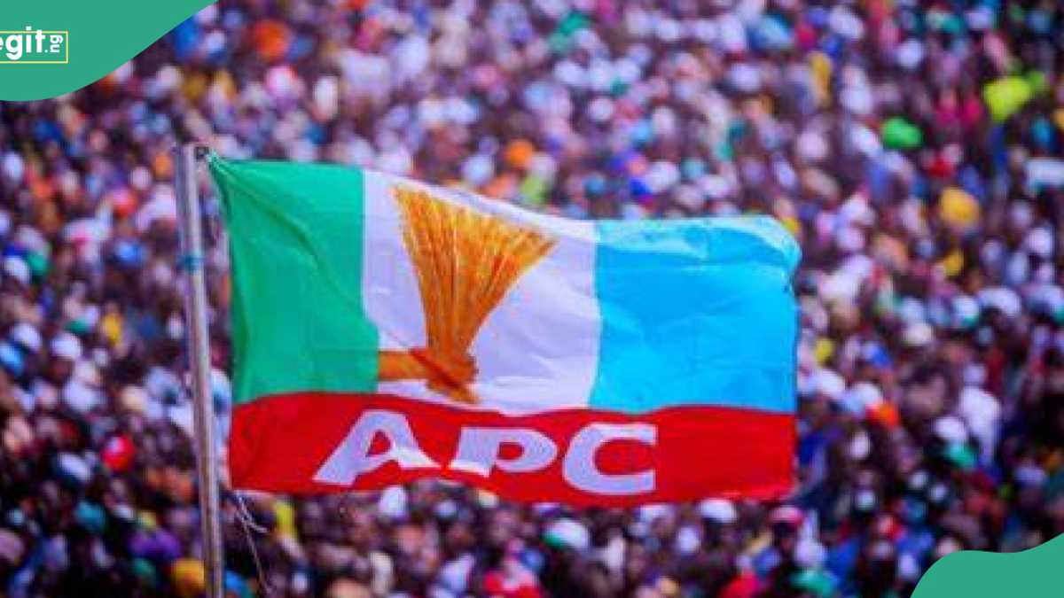 Nasarawa LG Poll: APC Sweeps 13 Chairmanship Seats, Most Councillorship Positions