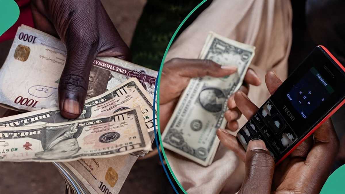 New Exchange Rate As Naira Reverses Gain Falls Against US Dollar in Official and Black Market