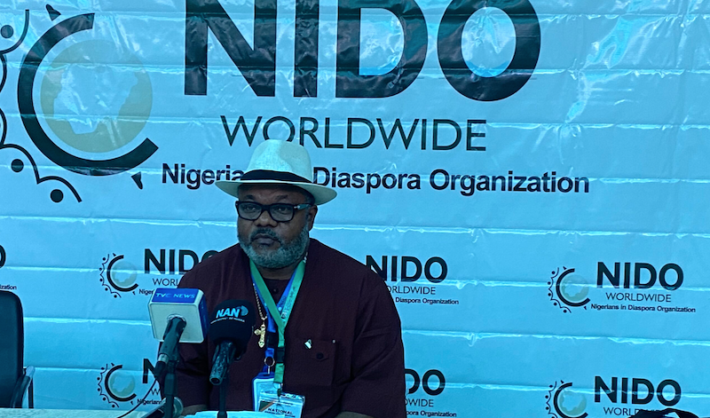 NiDO urges FG to establish diaspora board