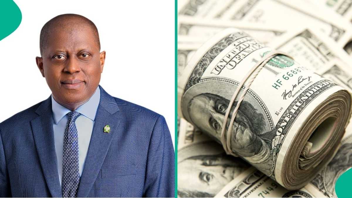 Nigeria’s FX Reserves Hit $40 Billion as Naira Tumbles in Official, Black Markets