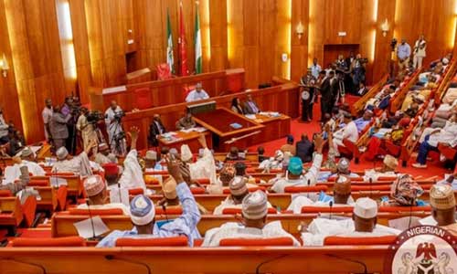 Pro-Tinubu Group Hails Senate For Passing Tax Reform Bills For Second Reading