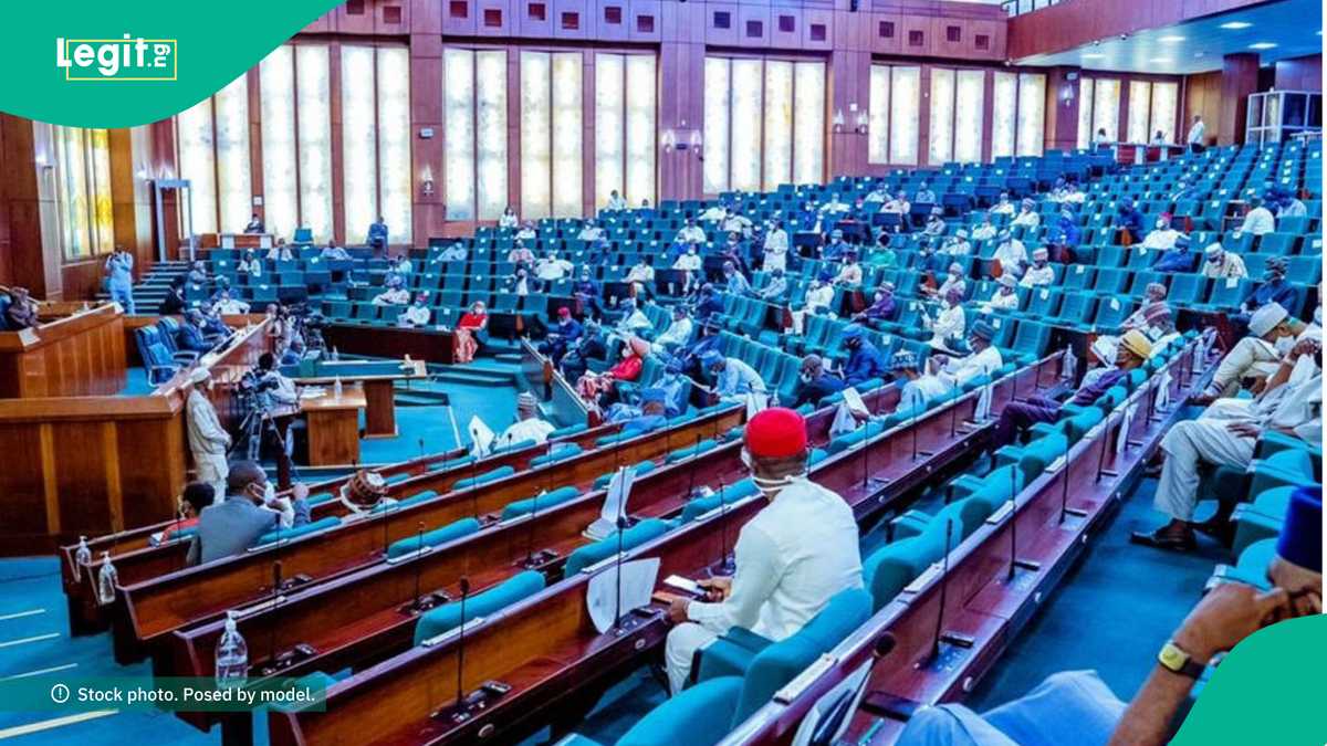 Reps Speak on Operation of More Refineries to Join Dangote for Petroleum Production