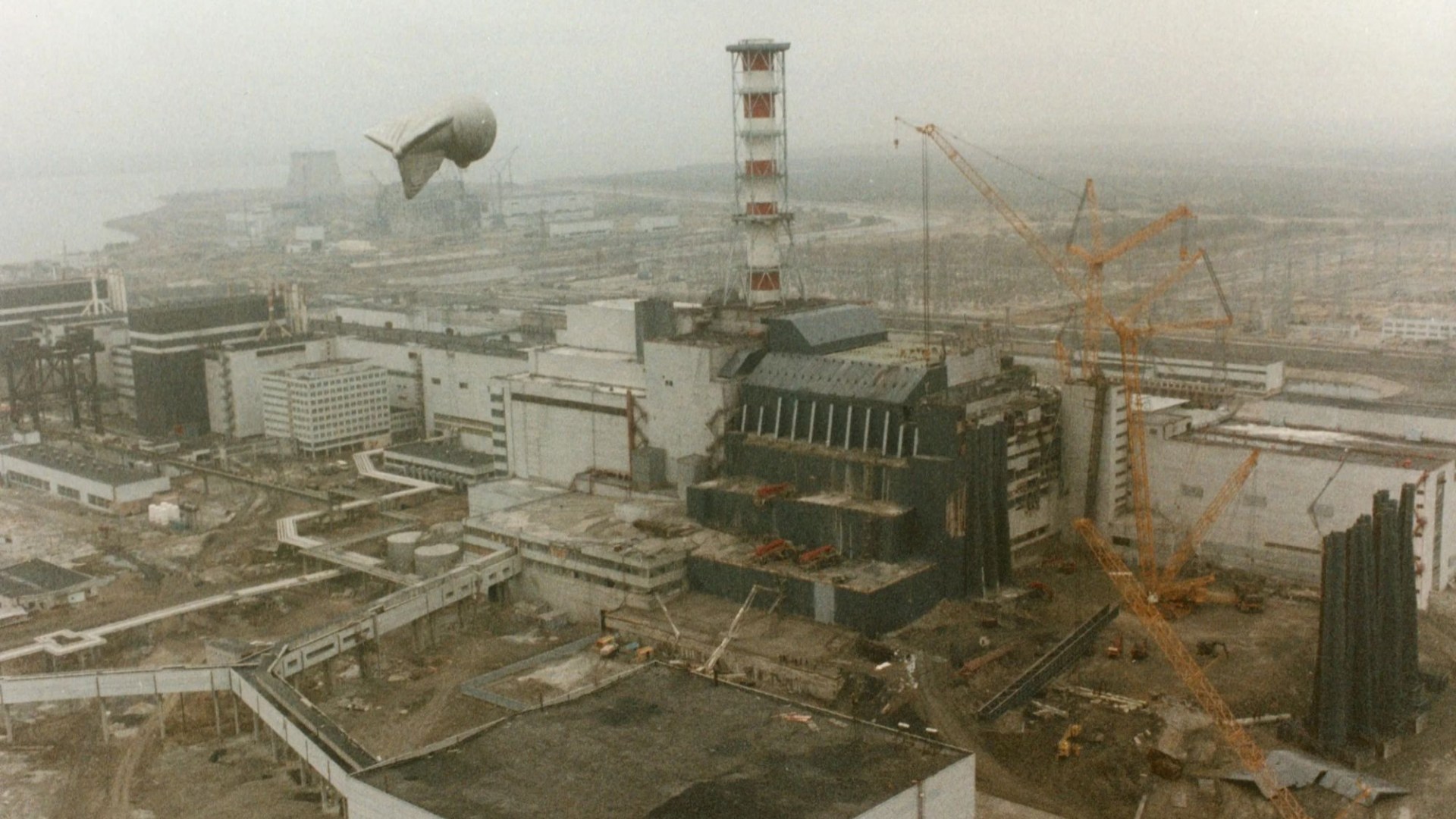 Shock discovery in Chernobyl's mutant black frogs may mean civilisation can finally RETURN to irradiated exclusion zone