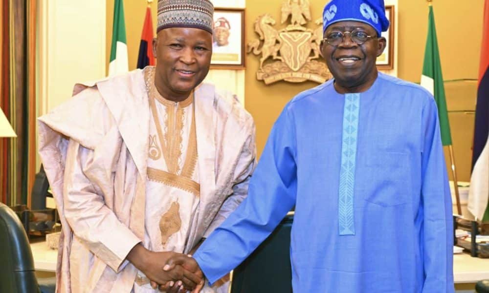 The Reason Tinubu Gave For Sacking Me Is Not Valid - Former Minister