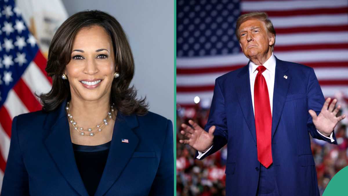 Trump vs Kamala Harris: Political Analyst Jide Ojo Predicts Winner of US Presidential Election