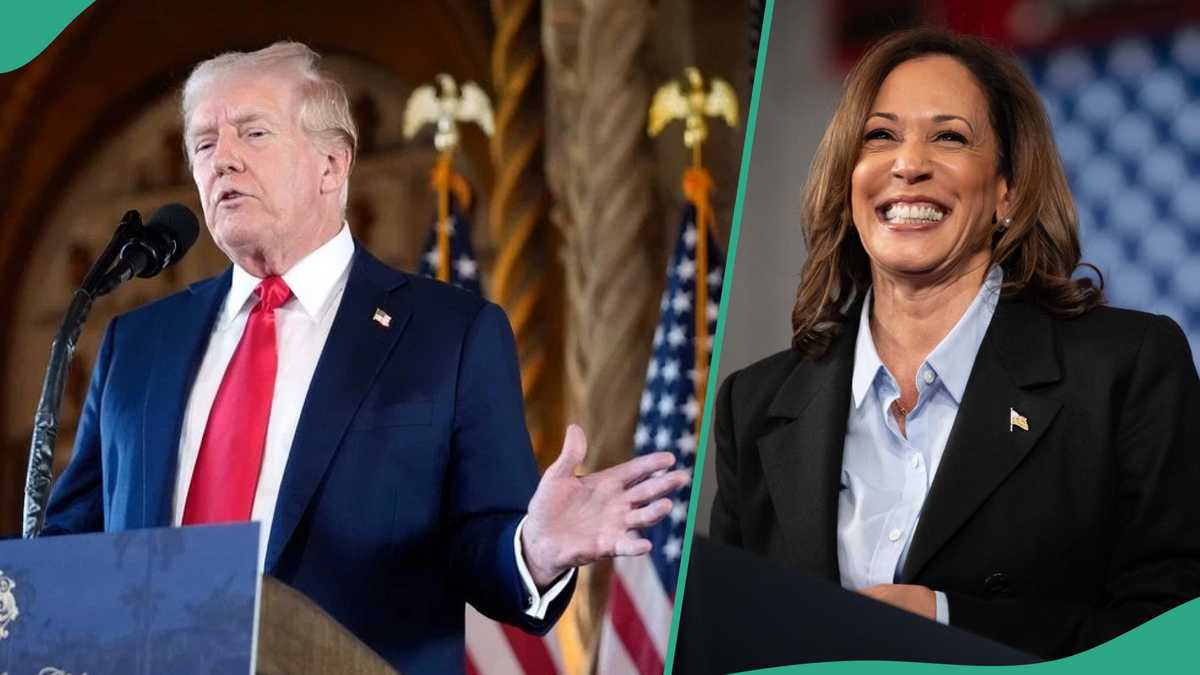 US: Harris Reportedly Leading Trump Among Latino Voters in Battleground State, Points Gap Emerges