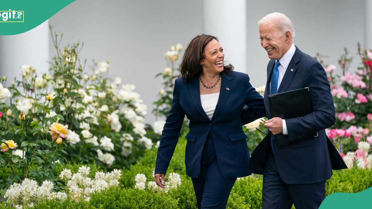 US Presidential Election: 3 Reasons Kamala Harris May Not Succeed Joe Biden