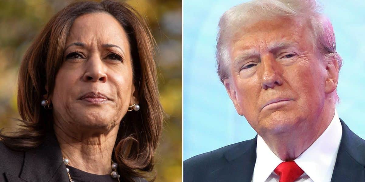 Why Harris lost to Trump – African school of Governance President