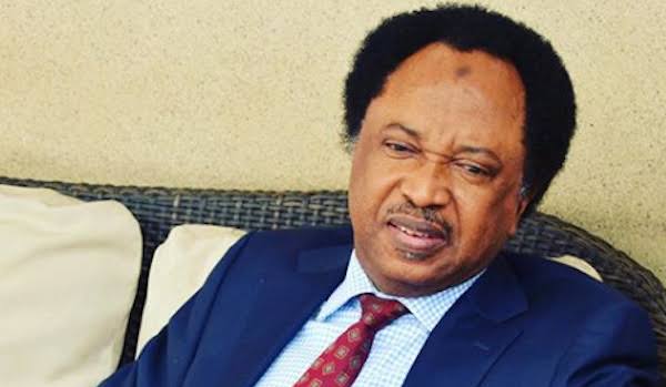 Senator Shehu Sani