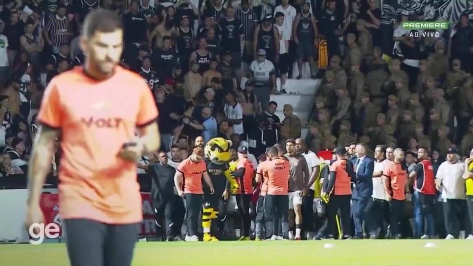 Criciuma's tiger mascot wound up Corinthians players as they tried to calm down fan trouble at half-time