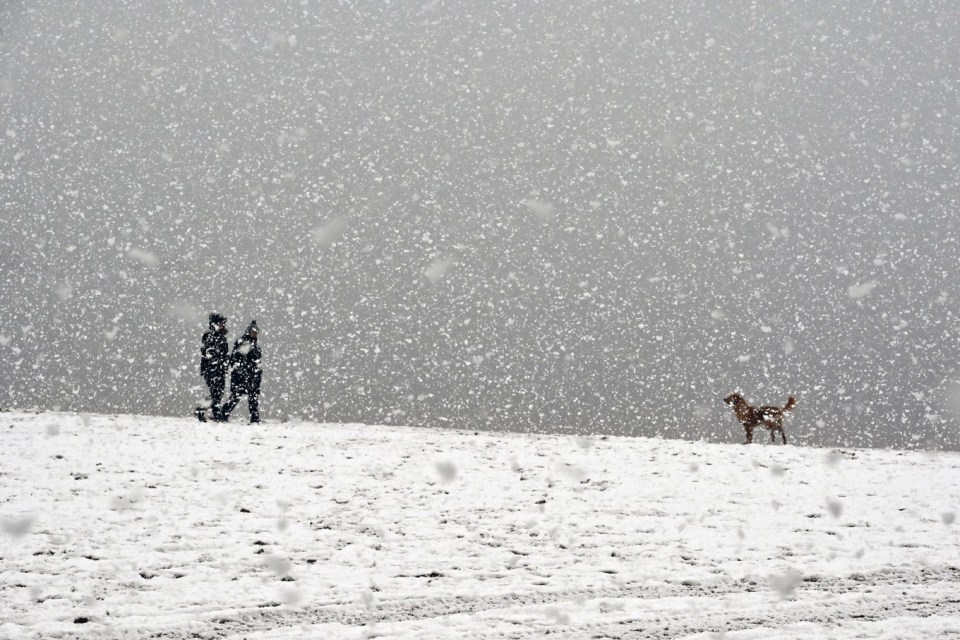 Bookmakers Ladbrokes cut odds on a white Christmas to 6/4 in Edinburgh