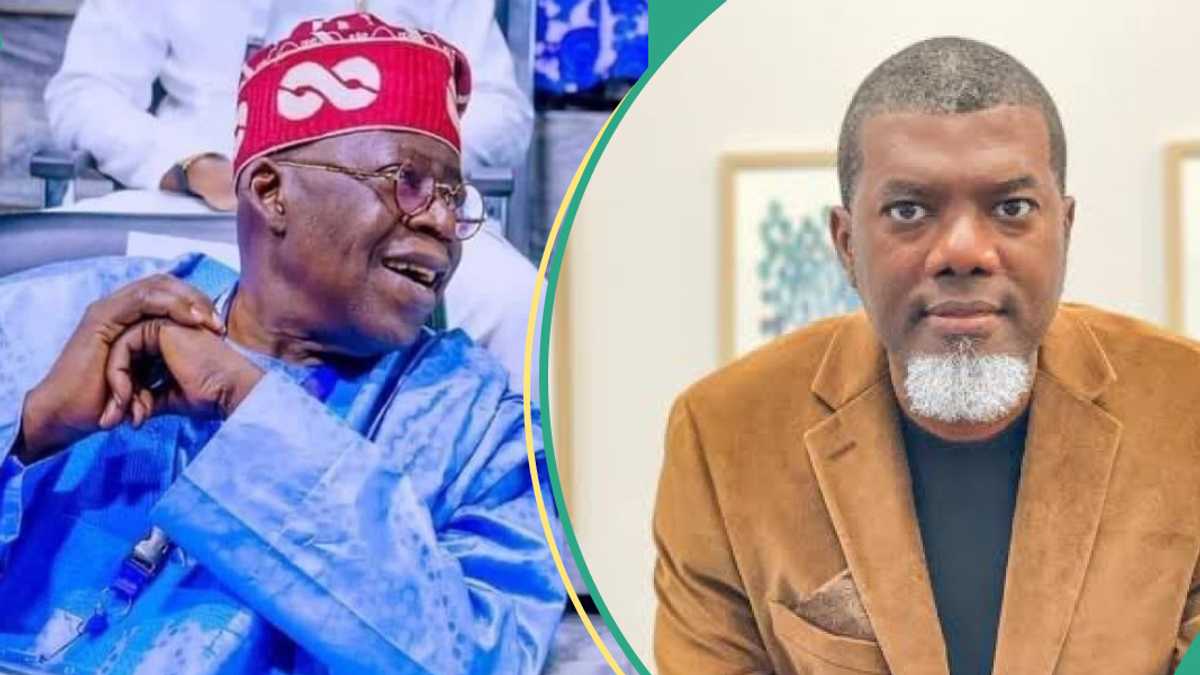 Tax Reform: Reno Omokri Sends Strong Message to South as Northern Leaders War Against Tinubu's Bills