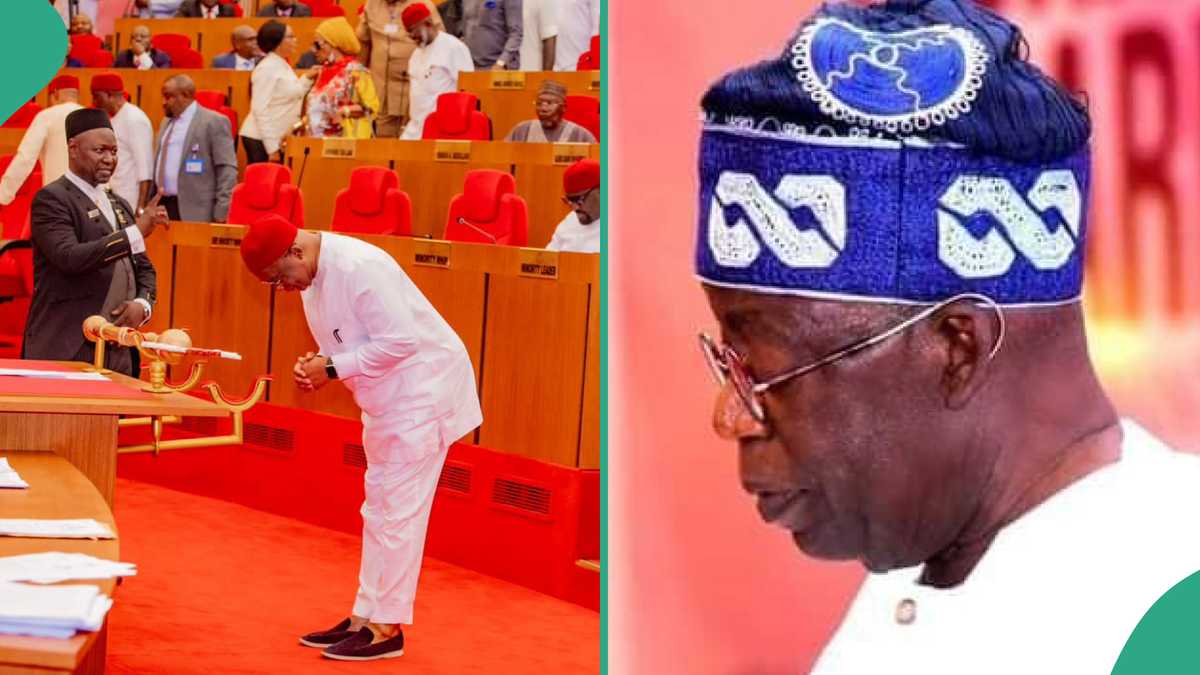 Senate Withdraws Tinubu's Tax Reform Bills? Akpabio Finally Opens Up, Video Trends