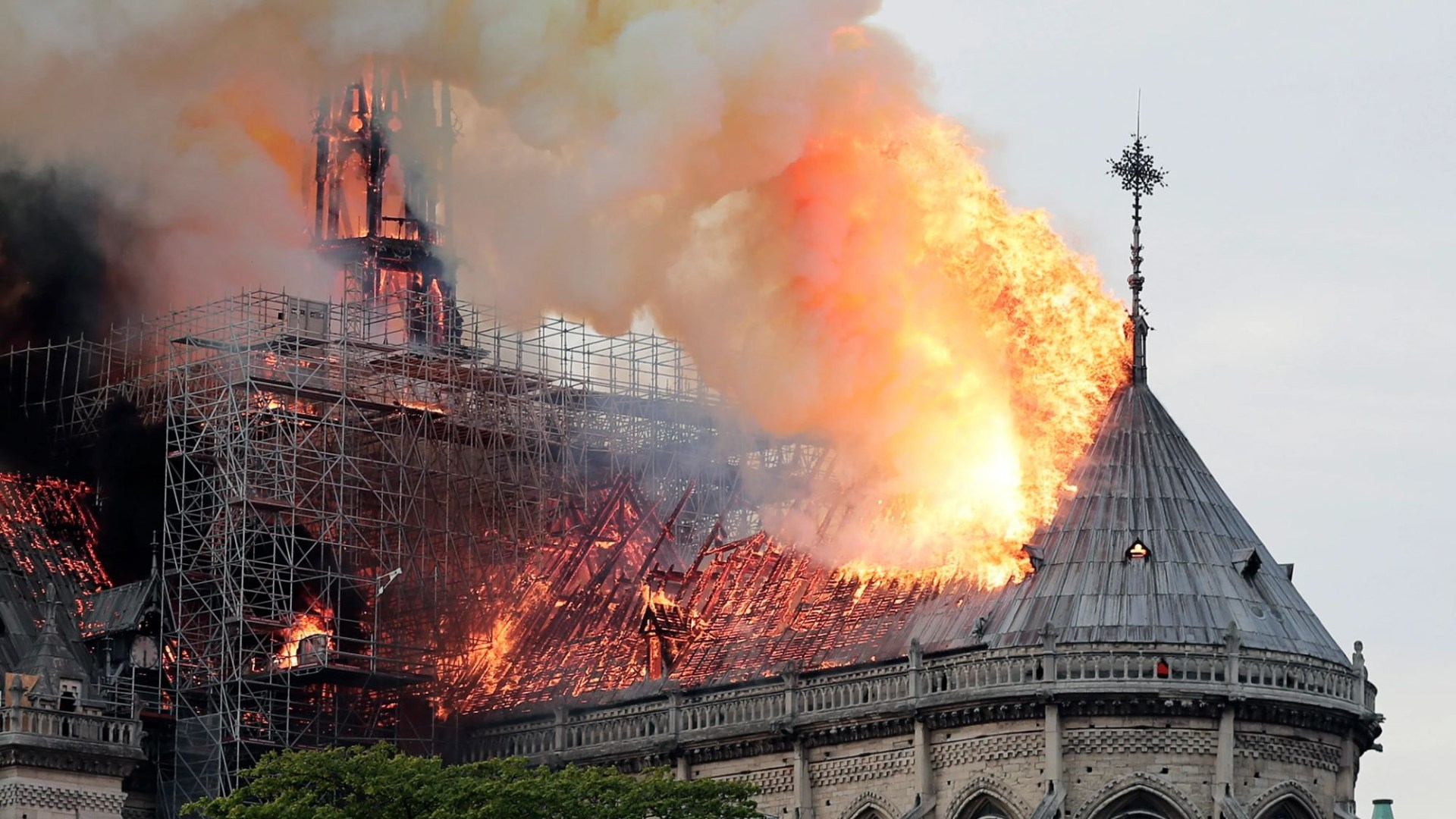 Donald Trump to meet Prince William in Paris ahead of Notre Dame reopening ceremony for talks on 'special relationship'