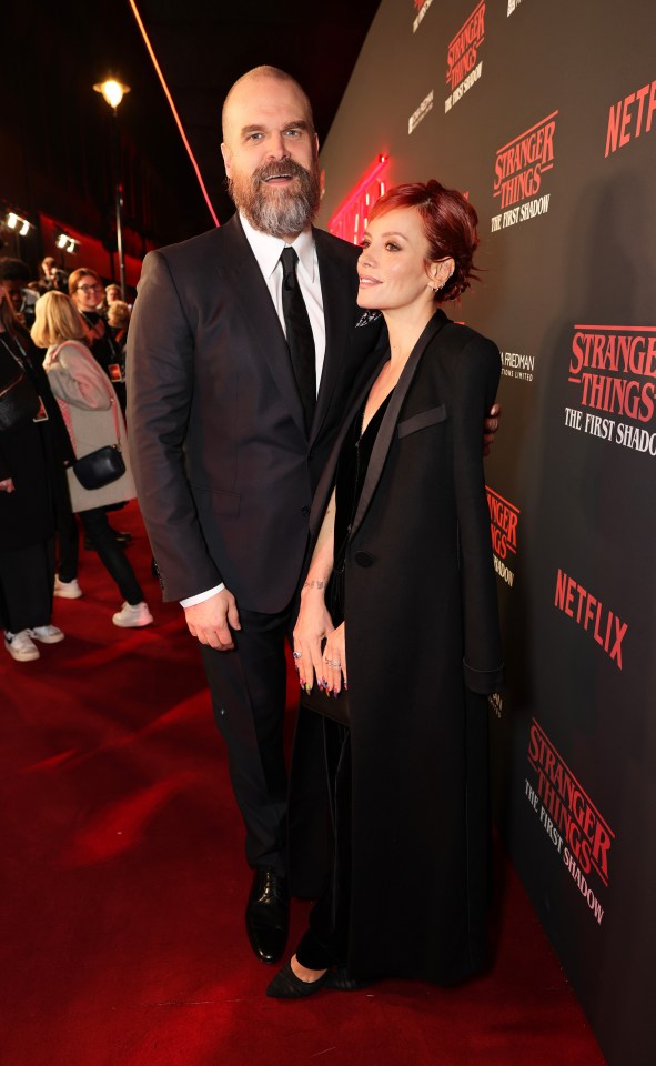 Lily Allen and David Harbour reportedly met through the site