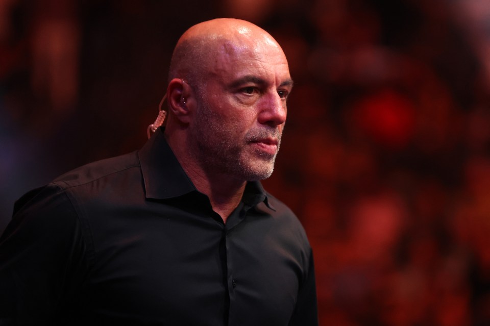 UFC commentator Joe Rogan believes Fury's chin isn't the same as it once was