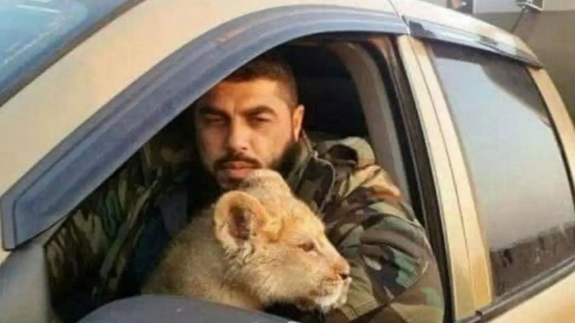 Cruel member of Syria's sinister Tiger Forces who fed Assad's prisoners to his pet LION 'is publicly executed by rebels'