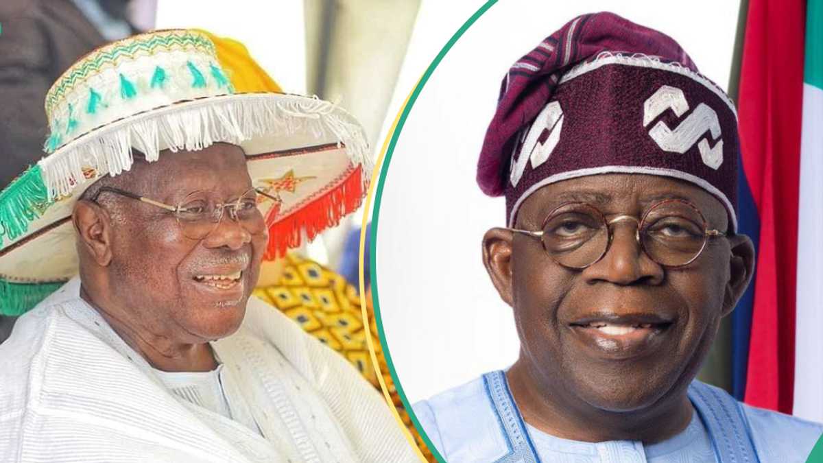 Fuel: Bode George Urges Tinubu To Reduce Petrol Price to N300, Gives Reason