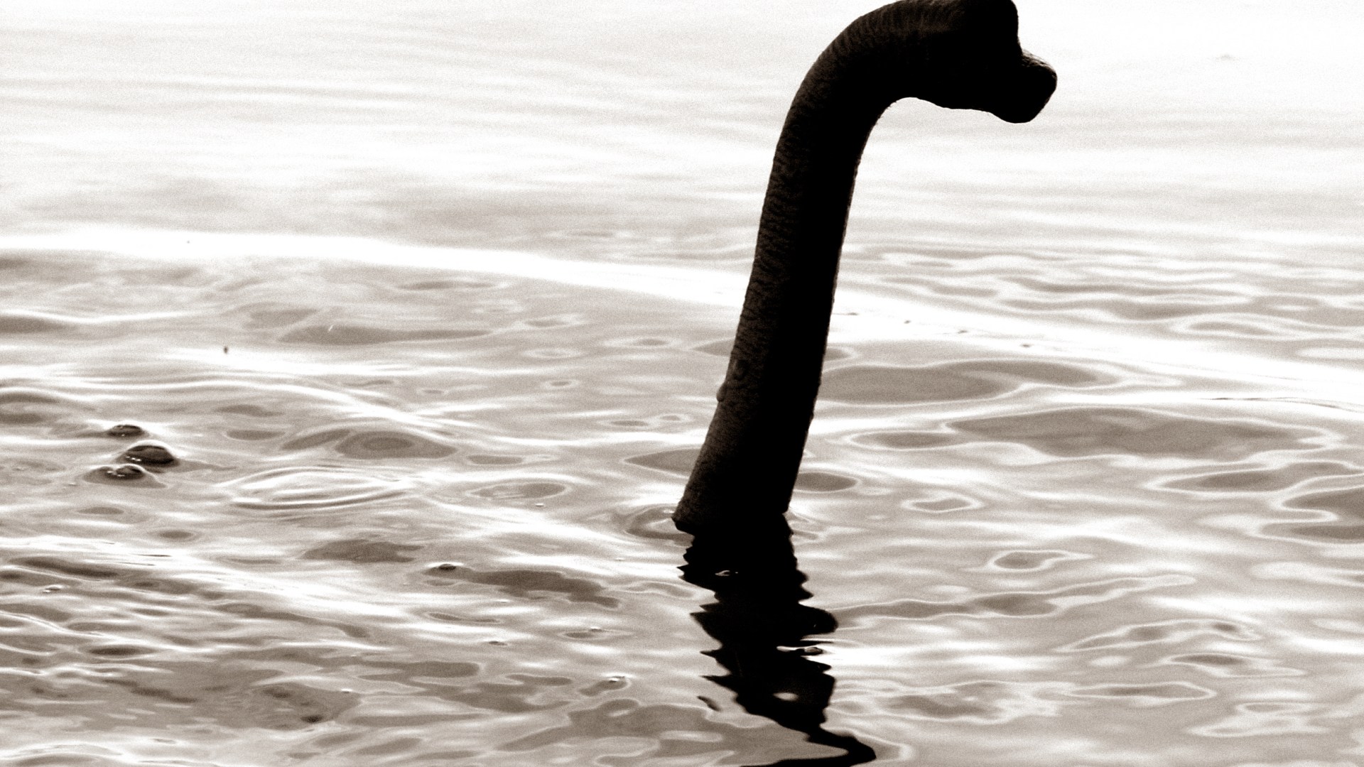 Mystery as Loch Ness Monster sightings tumble but a 'chilling' sonar left skipper speechless