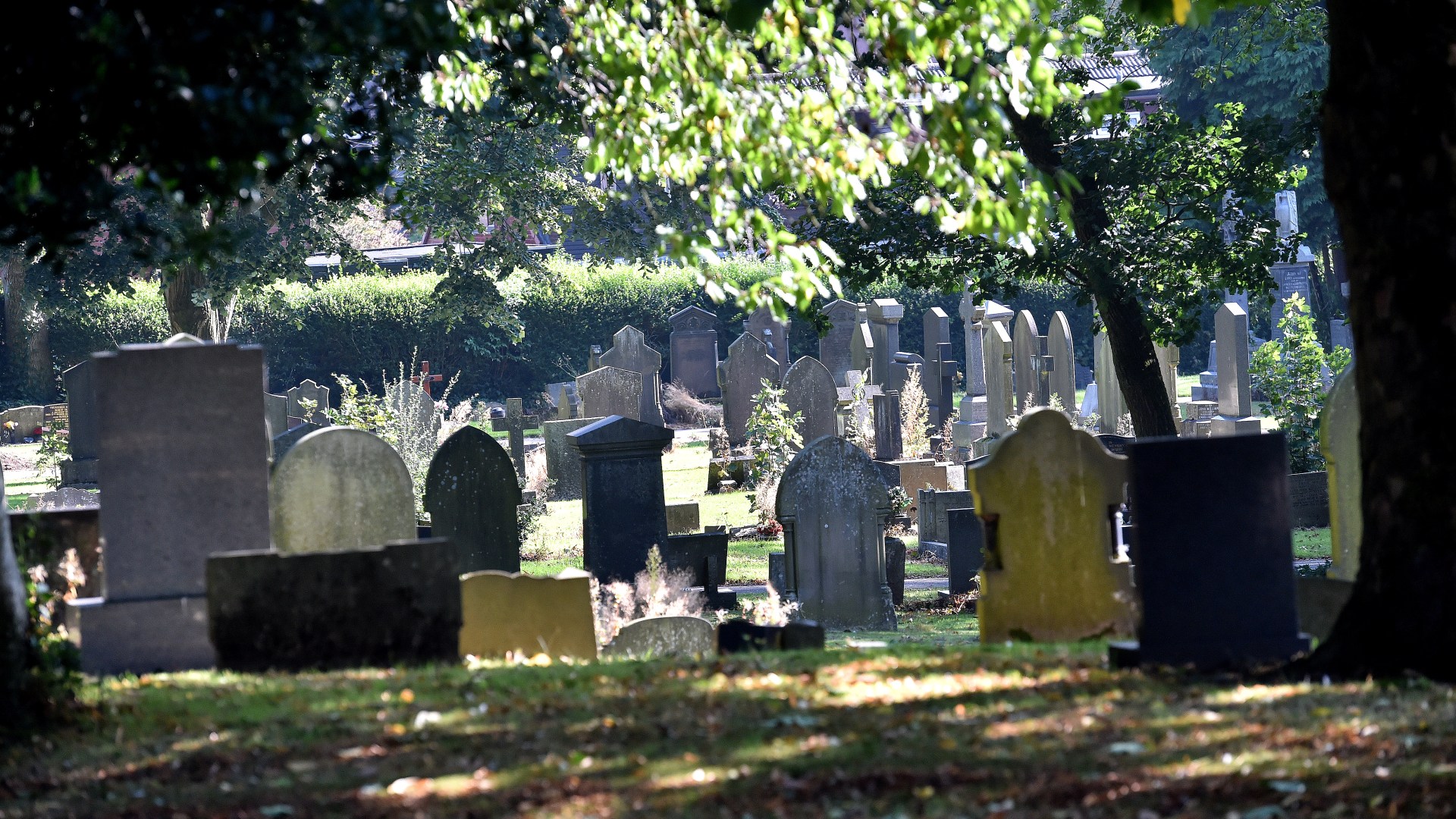 Another mass grave of babies’ bodies is uncovered in UK town - just yards away from remains of 300 tragic infants