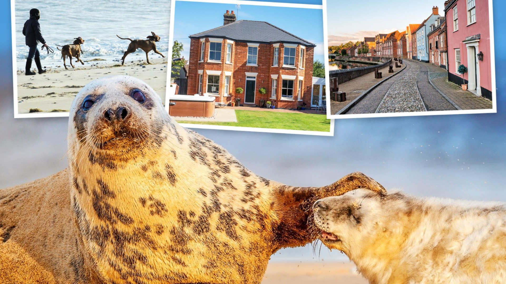 The pretty English coastal village with huge sandy beaches where you can spot seals and even your pets are welcome