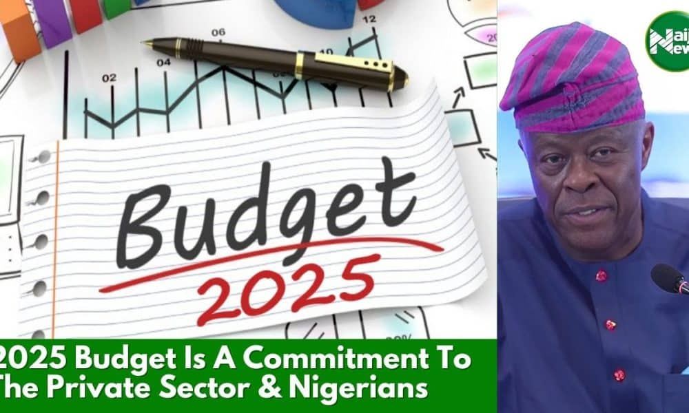 2025 Budget Is A Commitment To The Private Sector – Wale Edun