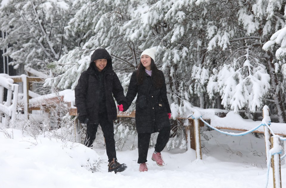 A couple enjoy a stroll through the snow-filled national park