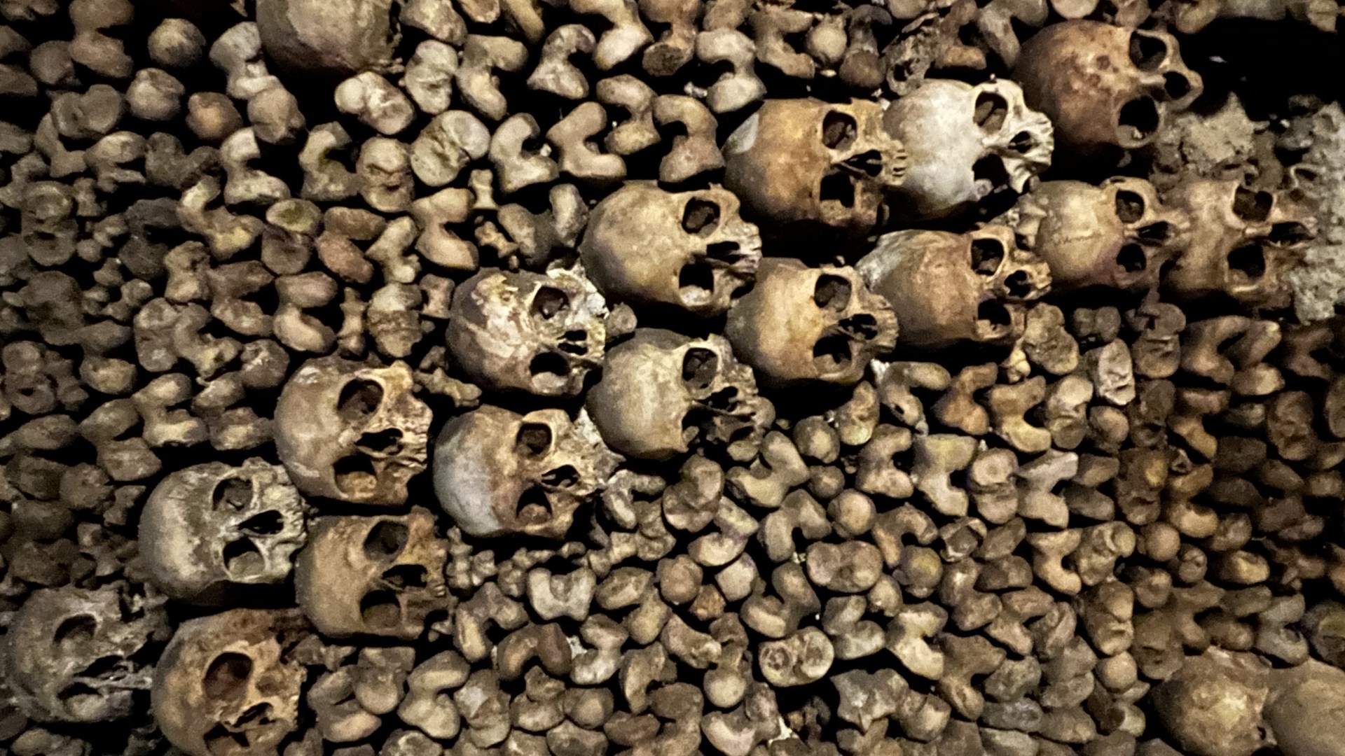 Inside Paris' terrifying 120-mile maze of catacombs littered with 6 million bodies... and some explorers NEVER come out