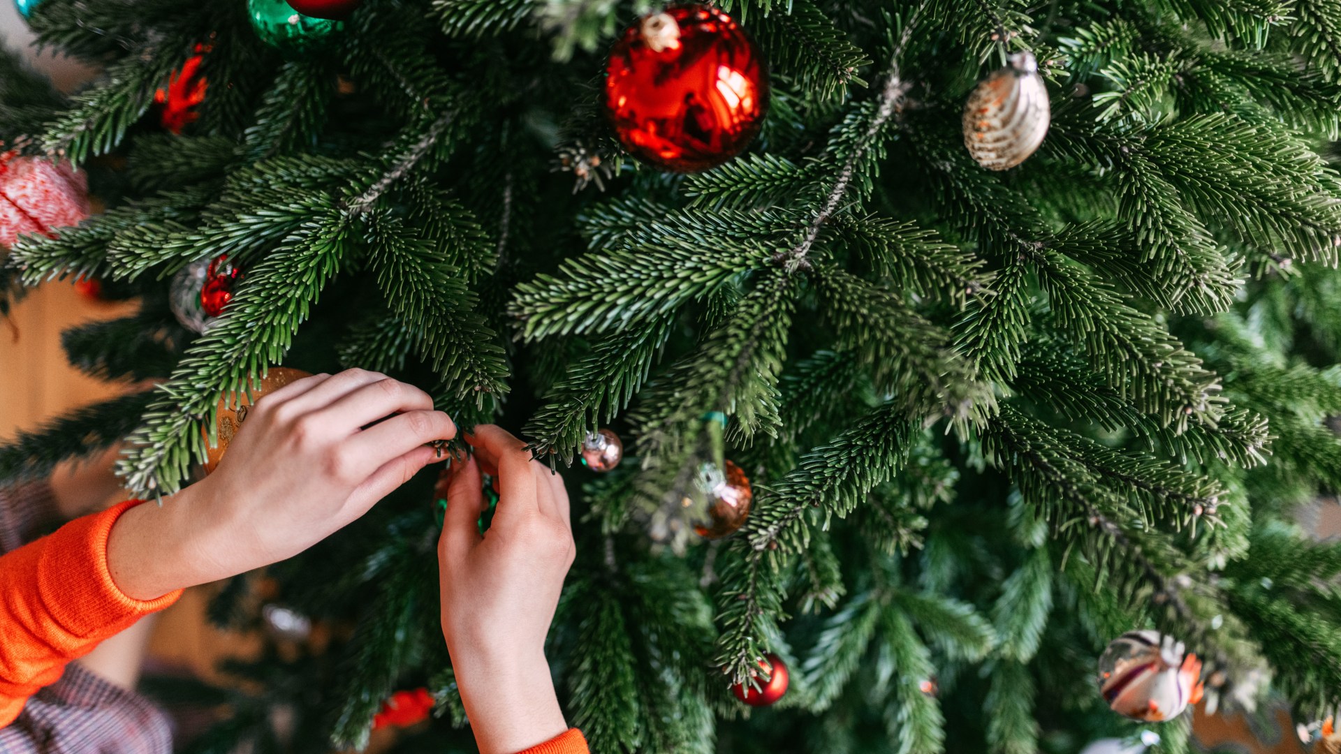 I'm a festive expert - my tree trick will keep it fresh for weeks, you'll already have what you need in your kitchen