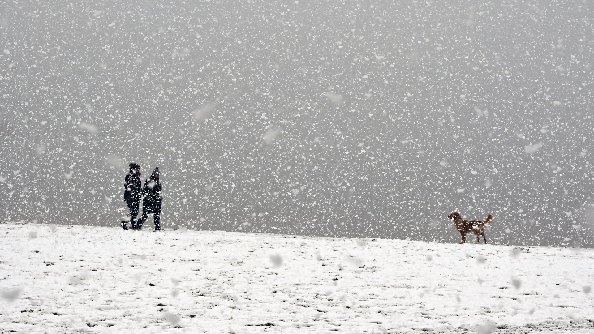 Exact date snow storms to hit Scotland as weather map reveals Arctic freeze on way