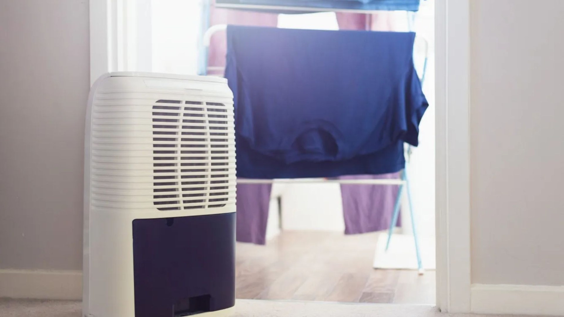 The dehumidifier mistakes that are making your home MORE damp - and there's a fire risk too