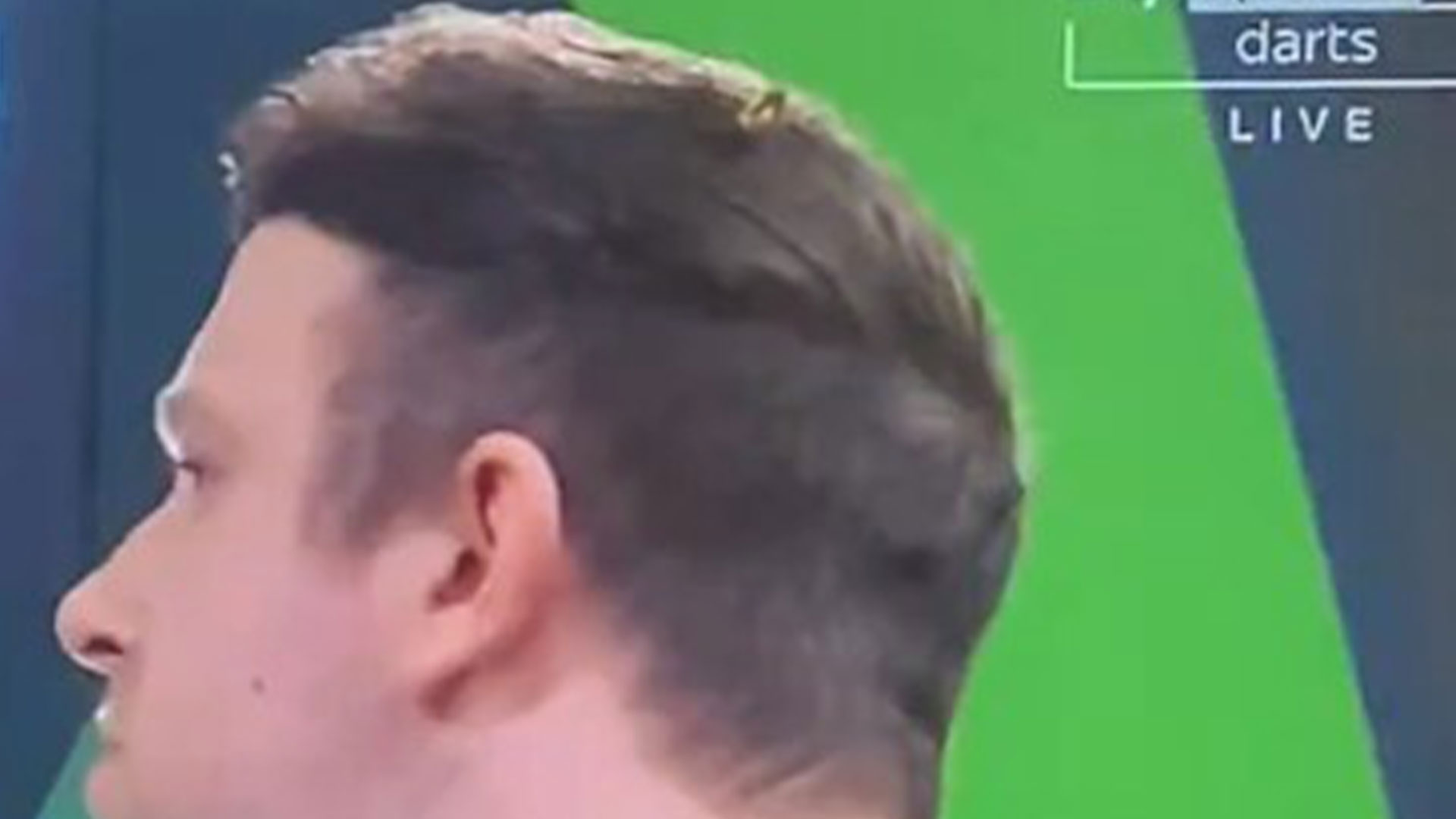 Infamous Ally Pally wasp lands on Callan Rydz's head during crucial World Darts Championship clash