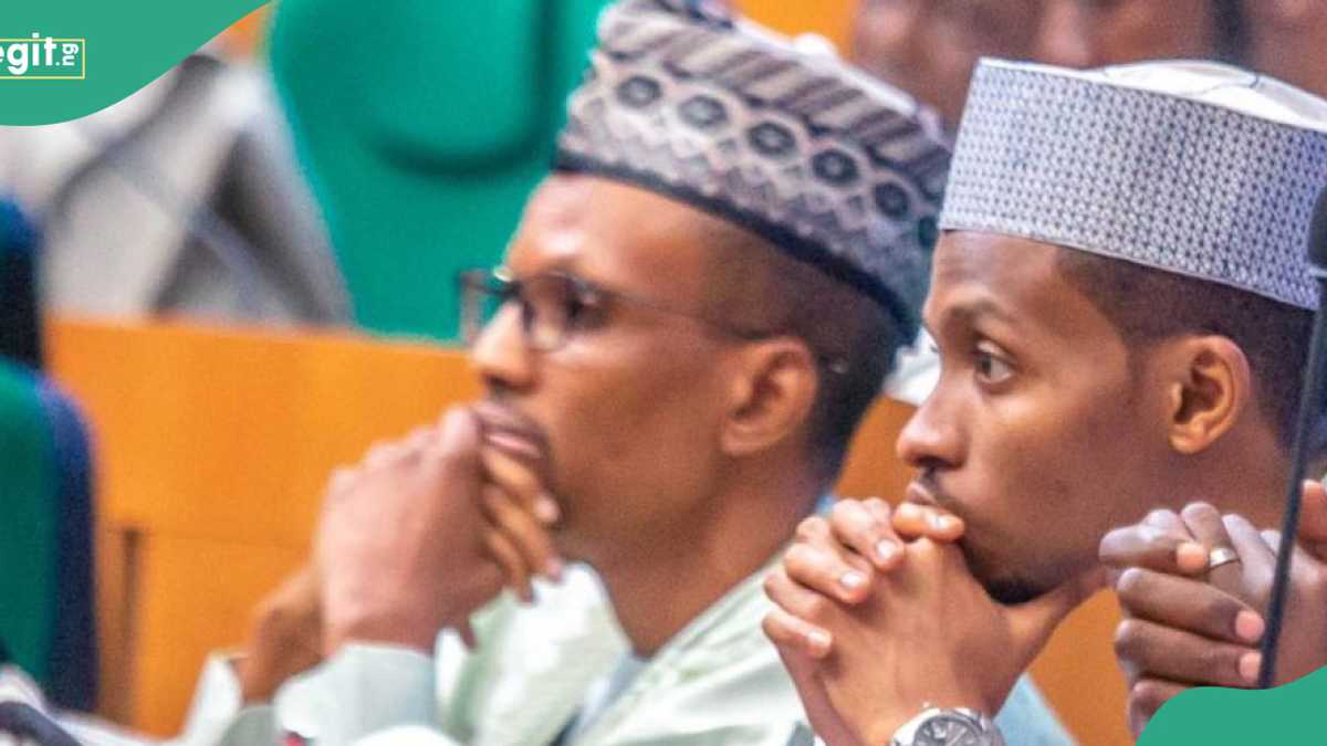 2025 Budget: El-Rufai's Son Raises Motion Against MDAs Buying Vehicles, Spoons Yearly, Gives Reasons