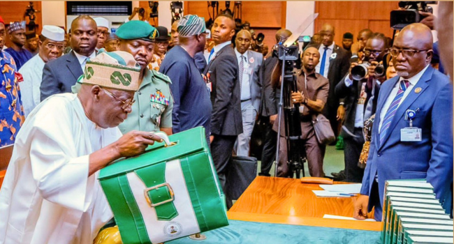 2025 Budget To Be Ready February, Says N'Assembly