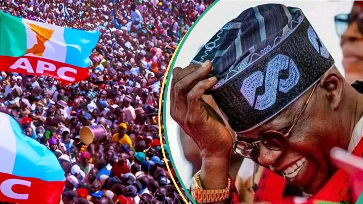 2027: Did Arewa Forum Reject Tinubu? Spokesperson Clarifies