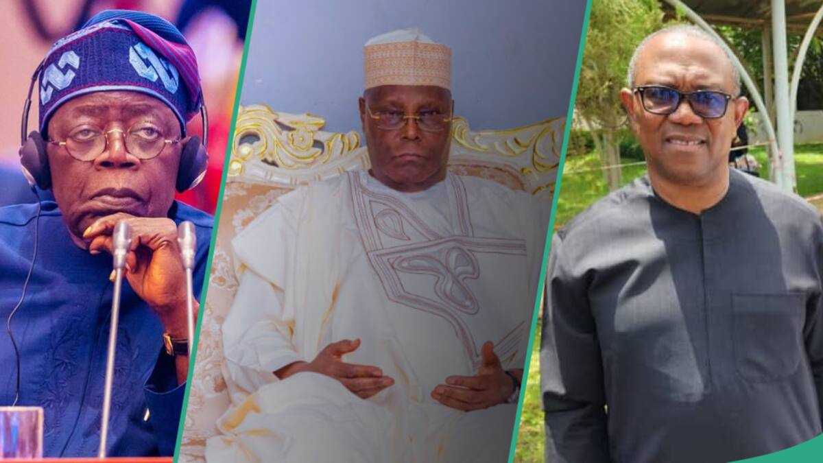 2027: Top APC Chieftain Speaks on Threat of Atiku, Obi as Opposition Leaders Meet in Adamawa