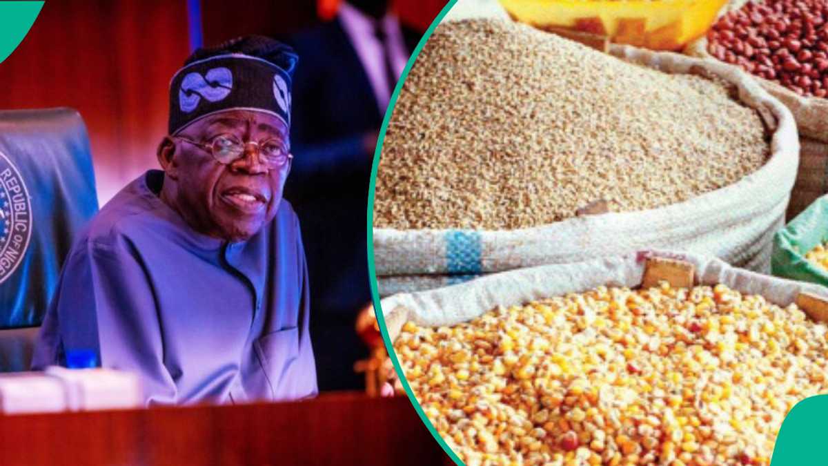 "Ba Mu Son Kowa Ya Kwana da Yunwa," Shugaba Tinubu Ya Shirya Wadata Abinci a Najeriya