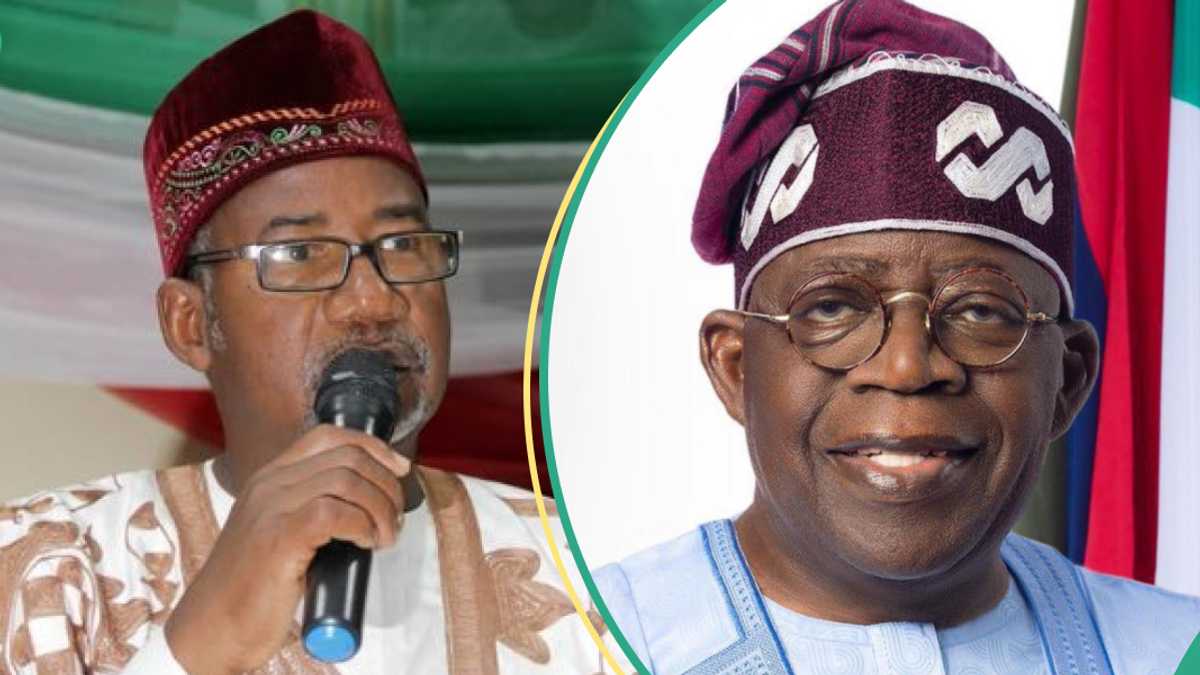 'Ba Mulkin Soja ake ba,' Gwamna Ya yi Kalamai Masu Zafi ga Tinubu kan Haraji