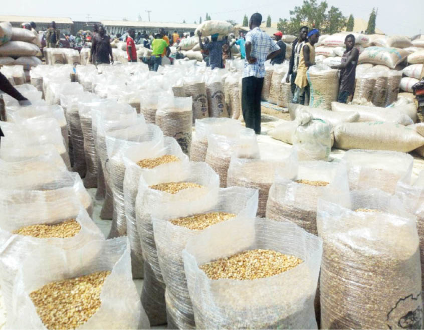 Don't Sell Grains For Christmas Celebration, Bauchi CAN Warns Farmers