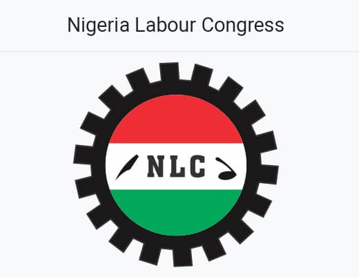 Edo NLC