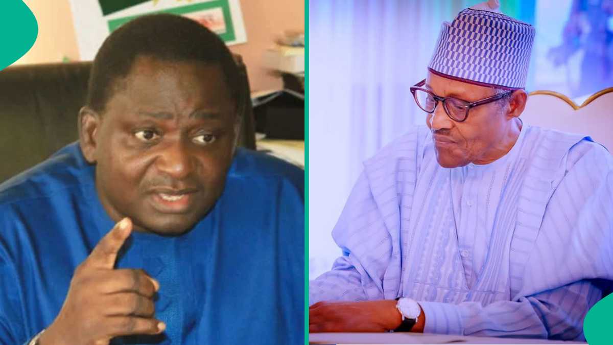 Femi Adesina: Dalilin da Ya Sa Buhari Bai Cire Tallafin Man Fetur Ba