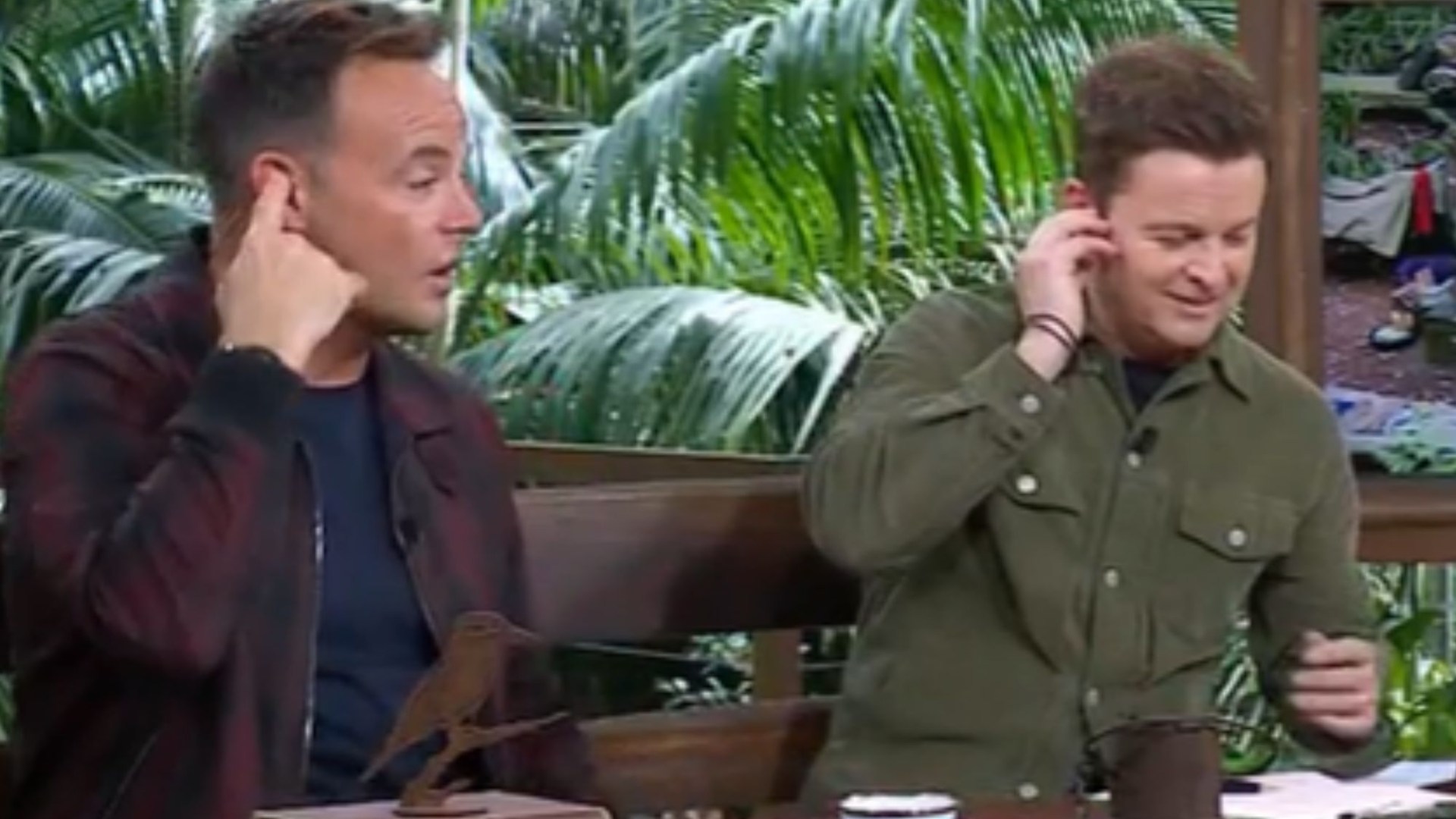 I'm A Celebrity suffers very awkward tech blunder after Melvin's exit leaving Ant McPartlin frustrated