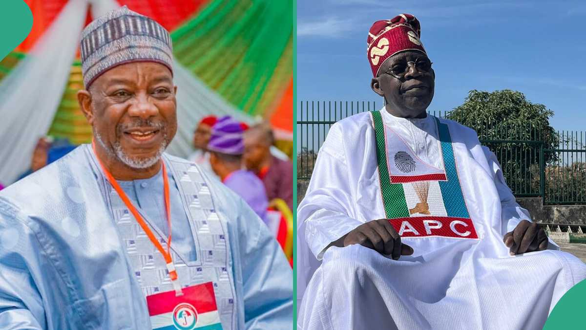 "It Is Unfortunate": PDP Senator Laments Over Tinubu's Latest Bragging, Details Emerge