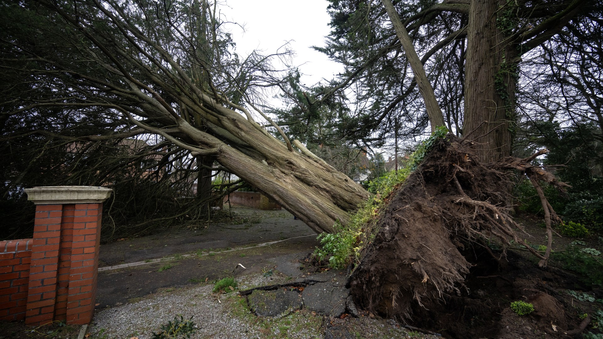 Man in his 40s dies in Storm Darragh after tree falls on his van in Lancashire as 93mph winds hit UK