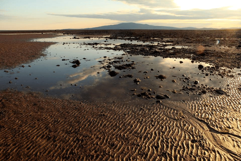 Shona was walking along the shore of the Solway Firth near Annan (STOCK IMAGE)