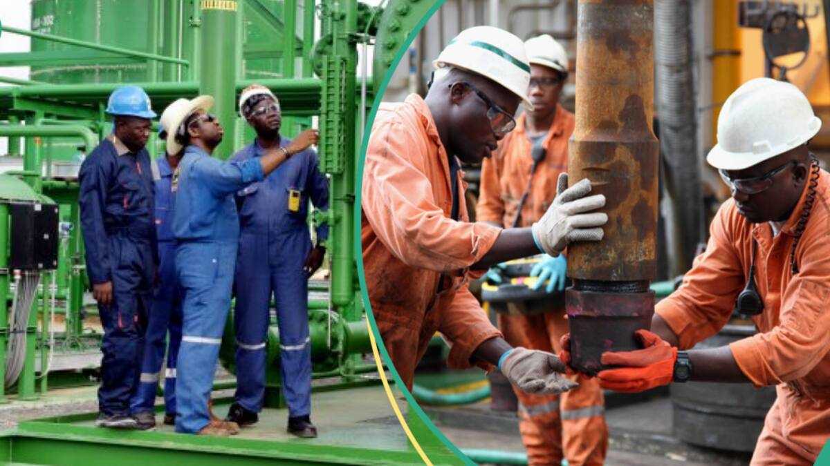 New Petrol Prices as Data Shows Nigeria's 4 Most Profitable Oil Companies in 2024